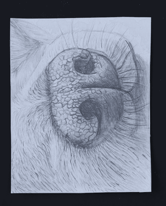 Fine art piece 3 by Yashvi Soni