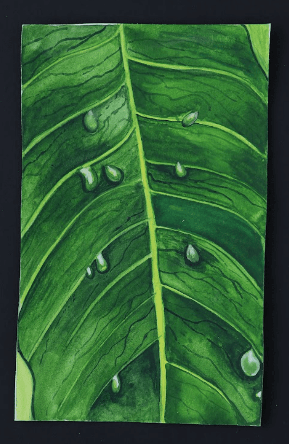 Fine art piece 5 by Yashvi Soni